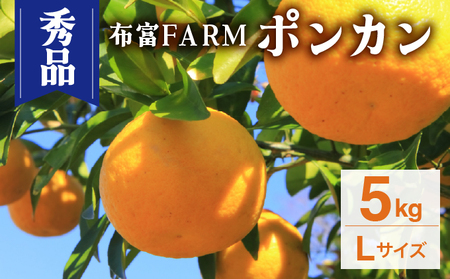 NT2-7-09 s\񁄁ykgIׂzGi|J@LTCY@5kg