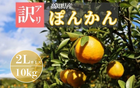 TM004-4 ̖Aۂ񂩂 2LTCY10kgY mY Â RN W[V[ ʓ m m l  t[c ʕ ƒp p 