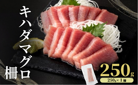 キハダマグロ 柵 [冷凍] 250g