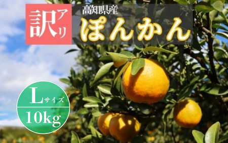 徳村の訳ありぽんかん Lサイズ [10kg]国産 東洋町産 訳アリ 甘い コク ジューシー 果肉 高知県 東洋町 四国 お取り寄せ フルーツ 果物 家庭用 自宅用 送料無料