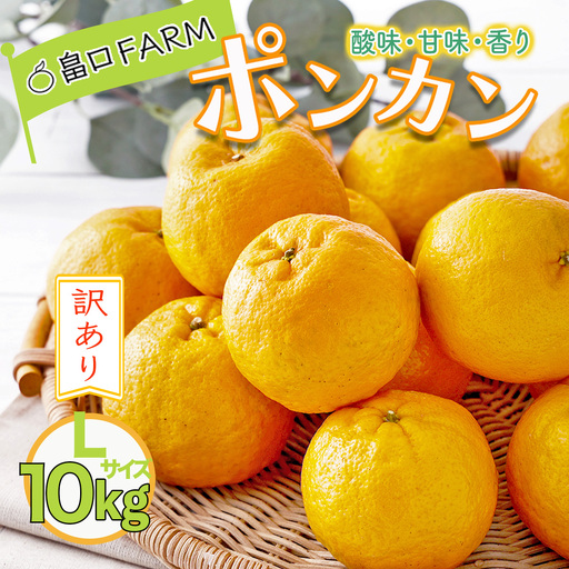 【先行予約】訳ありポンカン ＜10kg＞ Lサイズ