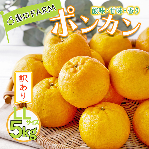 [先行予約]訳ありポンカン [5kg] LLサイズ