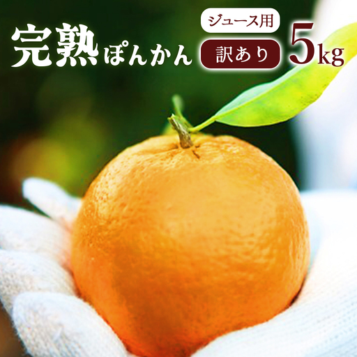 [先行予約]ジュース用訳ありぽんかん [5kg]