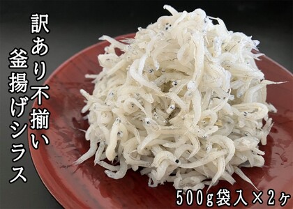 114026@󂠂sgVX500gܓ×2@v1kg
