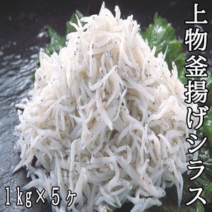 114032@㕨gVX1kg×5