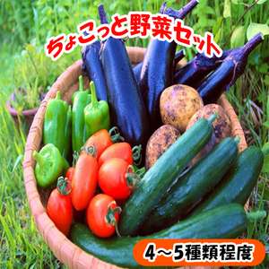 116001 ちょこっと野菜セット