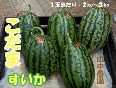 103005@R_@ʂ3
