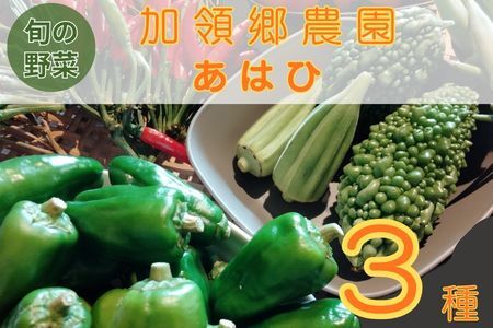 130001 露地栽培にこだわった季節の野菜ボックス お野菜 季節 野菜 旬 新鮮 産地直送 露地 詰め合わせ やさい おいしい 自然 セット おまかせ 詰合せ 旬の野菜 お試し 3種類 少量