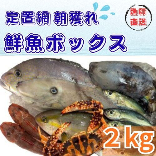 133001 定置網朝どれ鮮魚ボックス2kg