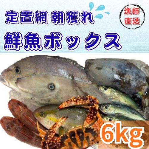 133003　定置網朝どれ鮮魚ボックス6kg