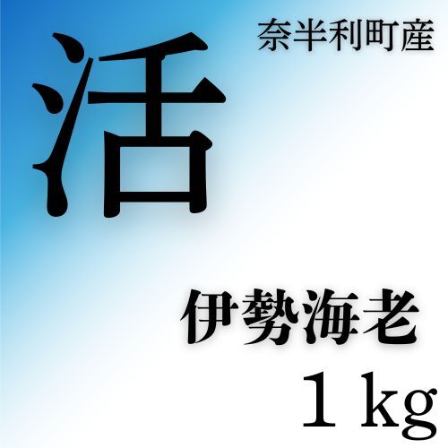 133004 活 伊勢海老(1kg)