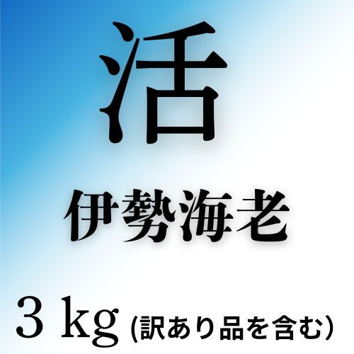 133005　活　伊勢海老（3kg）訳あり品を含む