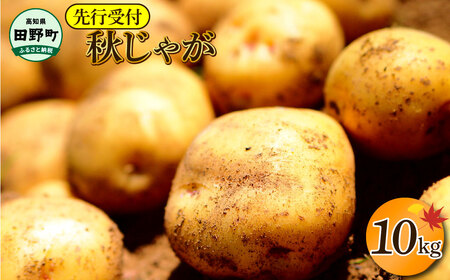 ylꏬȂ܂̂Ⴊzߘa7N11{Jn nō̂ꂽw ߘa7NY HႪ x 10kg