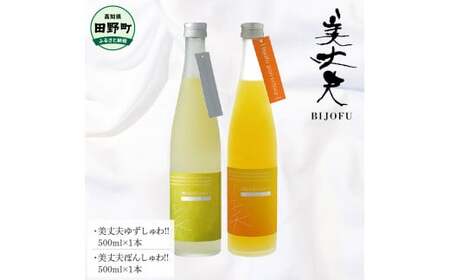 〜四国一小さなまち〜 ゆずしゅわっ‼+ぽんしゅわっ‼ 各500ml リキュール 酒 お酒 おさけ 地酒 日本酒 炭酸 柚子 ぽんかん ポンカン 柑橘 果汁 アルコール びじょうふ