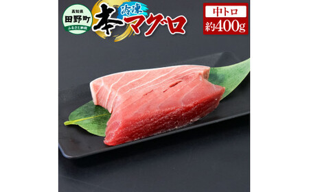 〜四国一小さなまち〜 本まぐろ 中トロ 約400g 本マグロ 本鮪 中とろ 刺身 刺し身 さしみ 魚 魚介 海鮮 海鮮丼 寿司 海の幸 生鮮 おかず おつまみ 惣菜 おいしい 美味しい