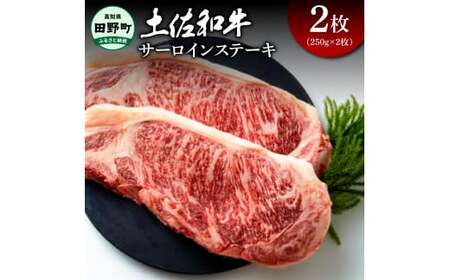 土佐和牛 サーロインステーキ 2枚(250g×2枚)合計500グラム サーロイン ステーキ 肉 お肉 牛肉 焼肉 黒毛和種 サシ きめ細やか やわらかい 赤身 ジューシー 上品 旨味 高知県産