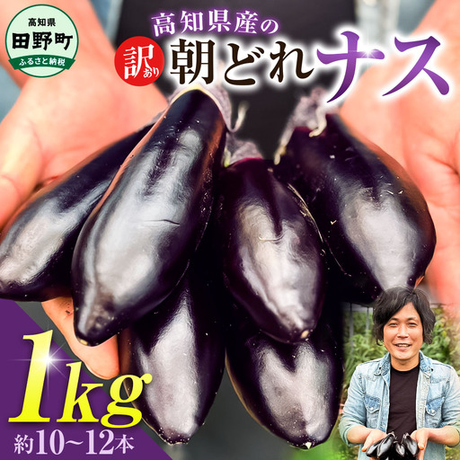 訳あり高知県産の朝どれナス 1kg
