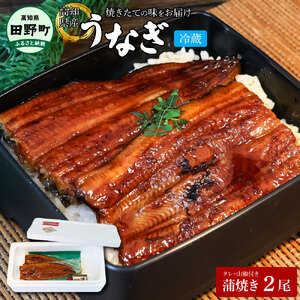 ～四国一小さなまち～ ヤマシン特選うなぎの蒲焼き2尾（特製タレ付き） 130g×2尾 うなぎ 鰻 ウナギ 国産 高知県産 2尾 蒲焼 かばやき 特製タレ 冷蔵 配送