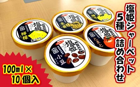 塩姫シャーベット 5種詰め合わせセット 100ml×10個 柚子 檸檬 トマト 生姜 小豆 ミネラル 田野屋塩二郎 天日塩 アイス あいす シャーベット 冷凍