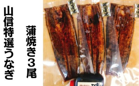 [四国一小さなまち]≪ヤマシン≫ ※ 冷凍 ※ 特選うなぎの蒲焼き 3尾 ウナギ 鰻 うなぎ蒲焼 ウナギ蒲焼 鰻蒲焼 うなぎかばやき 蒲焼き 土用の丑の日 土用 父の日 ギフト うな重 鰻重 うな丼 鰻丼