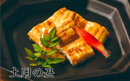 [土用丑の日(一の丑):2025]予約受付中≪7月19日までにお届け≫ 田野町産うなぎの白焼き 2尾(冷凍) ウナギ 鰻 しらやき 国産 無頭 冷凍