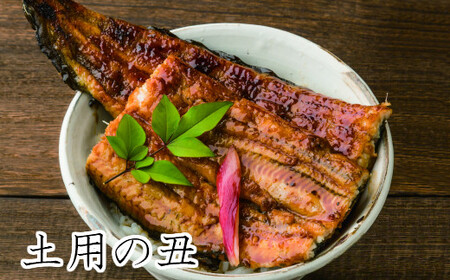 [土用丑の日(一の丑):2025]予約受付中≪7月19日までにお届け≫田野町産うなぎの蒲焼き 2尾(冷凍) ウナギ 鰻 かば焼き 国産 冷凍 無頭