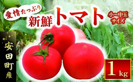 g}gycYz VNg}g1kg  n g}g Yn g}g g}g g}g TR-03