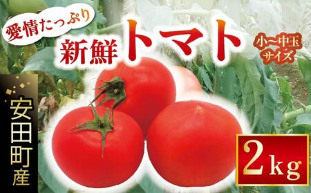 g}g 2kg y10{zmc | g}g TR-11