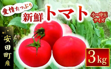 cY ՂVNg}g3kg VN g}g ʌ lߍ킹 Zbg Â {  3kg 3L ̂ꂽ  Ė  Mtg 3kg  2~ lC IXX ӂ邳Ɣ[ m c
