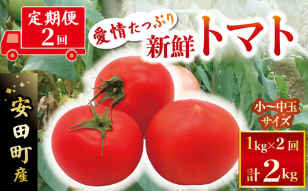 cY VN g}g 1kg  2 g}g lC g}g g}g g}g TR-05