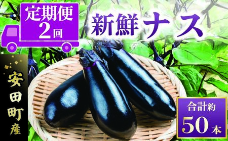 [10月下旬発送]安田町産 新鮮 ナス 20本以上 定期便 2回 ナス なす なすび 小分け ナス