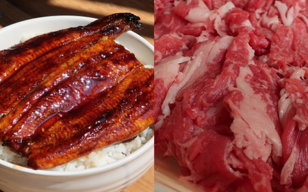 国産うなぎ蒲焼き 土佐あかうし 半年間 6回 定期便 自然の恵み お肉 と お魚 うなぎ 6ヶ月 半年 蒲焼 土佐あかうし 国産 冷凍 鰻 牛肉 特製タレ付 厳選 かばやき ステーキ ハンバーグ 切り落とし ロース バラ しゃぶしゃぶ人気 おかず 定期便 高知県 安田町