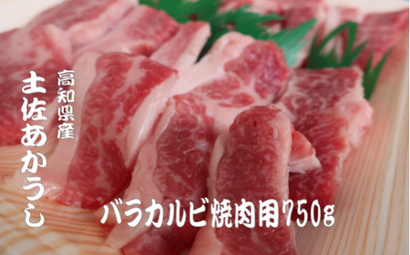 yoJrēp750g  a Jr 750g y Y  a uh ē Ԑg wV[ Ⓚ ] O Mtg   Ε o[xL[  