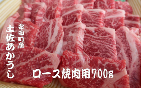 y[Xēp700g  y [X 700g Ⓚ Y  [X ēp Ă a BBQ o[xL[ ₫ɂ uh Ԑg  ɂ ɂ  ԋ 