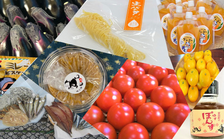 もっと! おいしいものセット 野菜 果物 パスタ 海産品 調味料 詰め合わせ セット 1万円 10000円 生パスタ 干物 お菓子 スイーツ 海産物 加工品 ポン酢 味噌 高知県 安田町