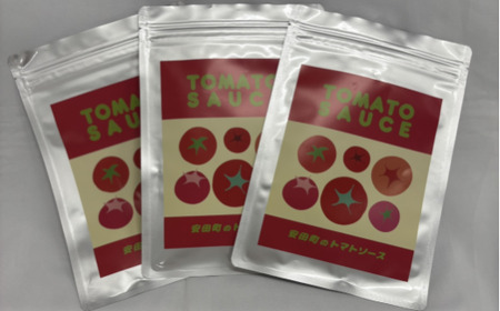 安田町 トマトソース 3袋 詰め合わせ トマトソース 天日塩 使用 170g x 3袋 パスタ ソース 野菜 や 肉 魚介 とスープ に レトルト食品 レトルトスープ レトルト ピューレ トマトピューレ 調味料 野菜ジュース 野菜 トマト 濃厚 高知県 安田町