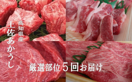 希少 土佐あかうし 定期便 5回 定期便 5回 土佐あかうし 厳選部位 牛肉 もも肉 ブロック サーロイン ステーキ しゃぶしゃぶ用 スライス カルビ 焼肉用 冷凍 国産 国産牛 牛カルビ サーロイン ステーキ 和牛 ブランド 赤身 お肉 にく おすすめ 高知県産 安田町