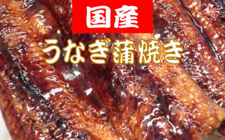 国産うなぎの蒲焼 約150g×2匹 うなぎ 鰻 150g×2匹 300g 国産 蒲焼 冷凍 特製タレ 山椒 付き うな重 うな丼 ひつまぶし 土用の丑の日 かばやき ご飯 米 ごはん 人気 おすすめ 高知県 安田町