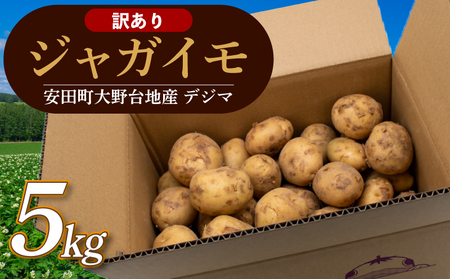 [訳ありじゃがいも] [先行予約] 春デジマ 5kg