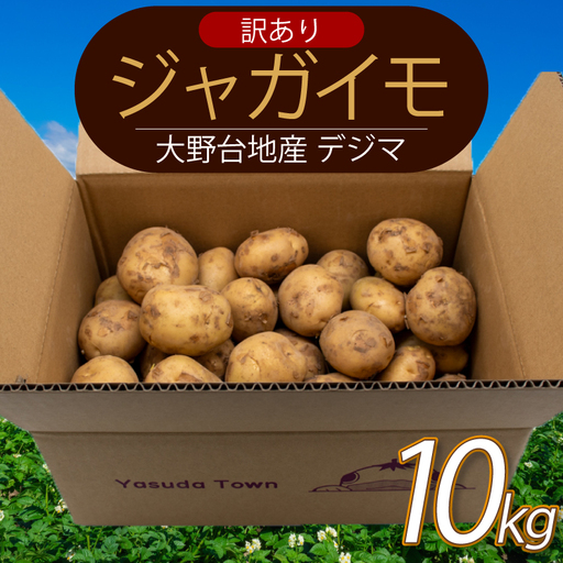 【訳ありじゃがいも】 【先行予約】 春デジマ じゃがいも 10kg 大野台地 YK-0013