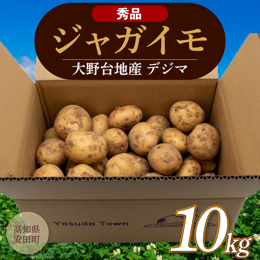 《先行予約》 じゃがいも 秀品 春デジマ じゃがいも 安田町 大野台地 10㎏ YK-0011