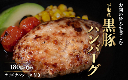 平取産黒豚ハンバーグ180g6枚 オリジナルソース付 ふるさと納税 人気 おすすめ ランキング 黒豚 肉 ハンバーグ 北海道 平取町 送料無料