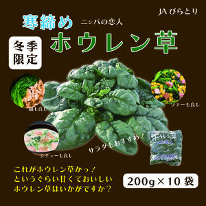 [先行予約/12月中旬以降発送][北海道平取町産]寒締めホウレン草(ちぢみほうれん草)200g×10袋