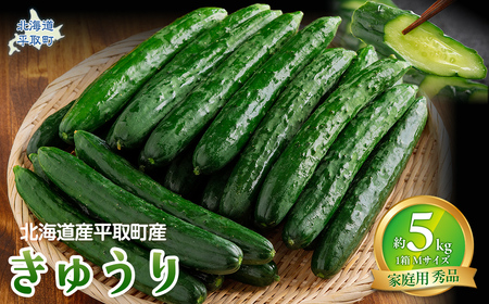 [先行予約/8月以降発送][家庭用][北海道平取町産]秀品 キュウリ1箱Мサイズ5kg