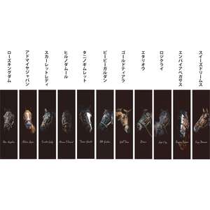 [アドマイヤジャパン×Yogibo]タペストリー