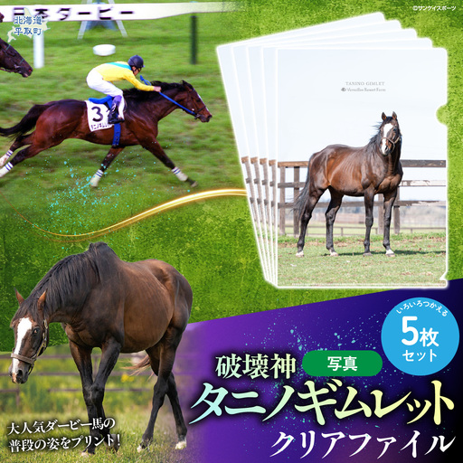 [破壊神タニノギムレット]クリアファイル5枚入り