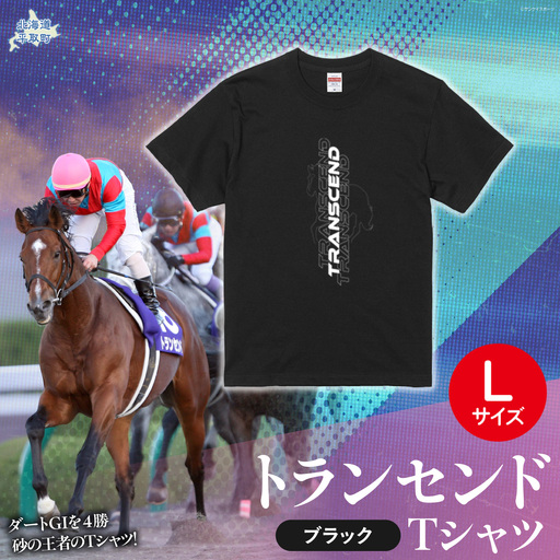 【トランセンド】Ｔシャツ 選べる４サイズ【L】 BRTV150-3