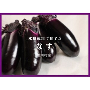 北川村の茄子 2kg