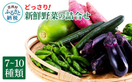 どっさり!新鮮野菜の詰合せ 7〜10種類 ピーマン 茄子 なす ナス おまかせ 特産品 野菜 やさい 野菜セット おかず 健康 新鮮 詰め合わせ お楽しみ お取り寄せ 通販