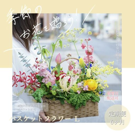 《6ヵ月定期便》季節の生花バスケットフラワーL 
